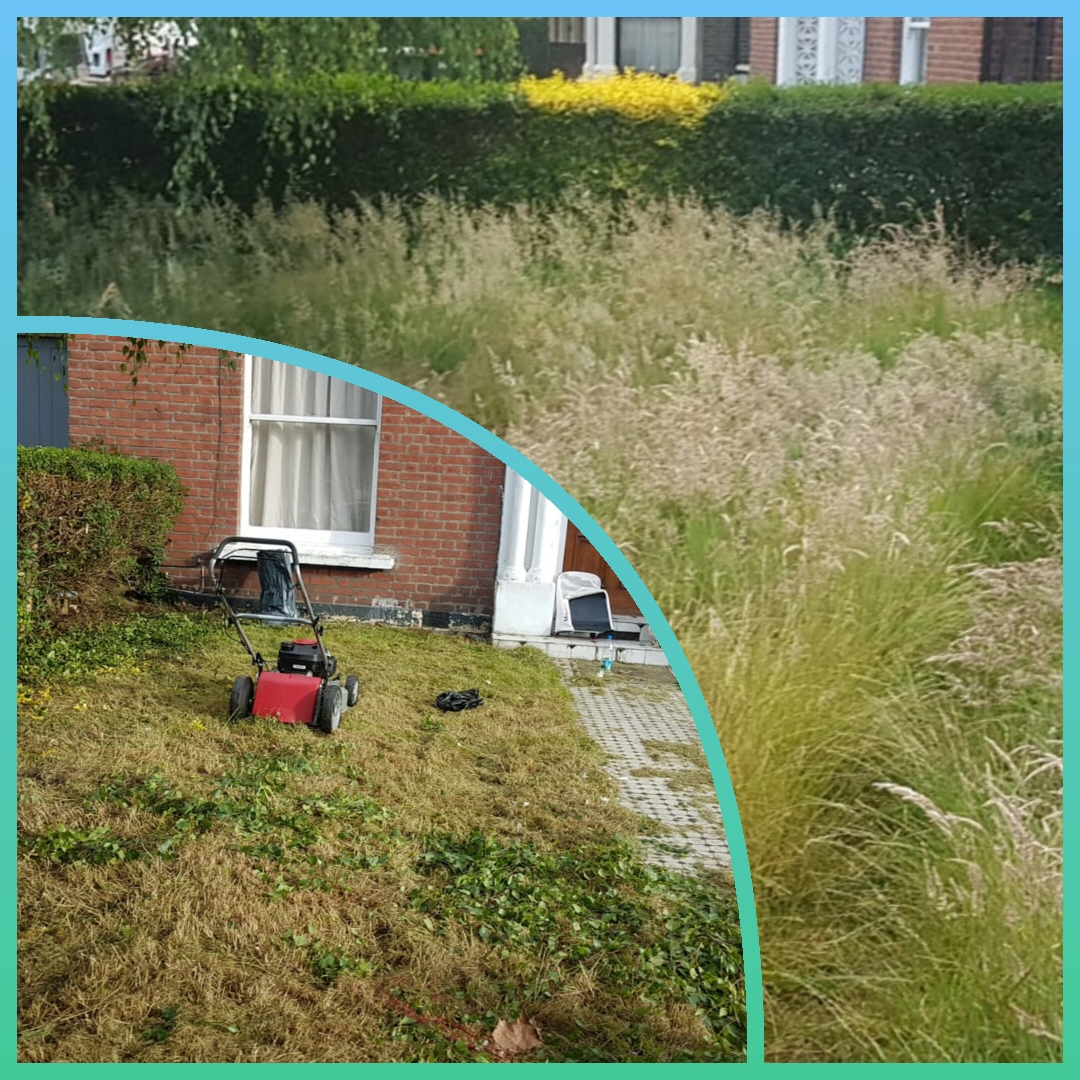 Essex Turf Care Specialists by Happy Services London