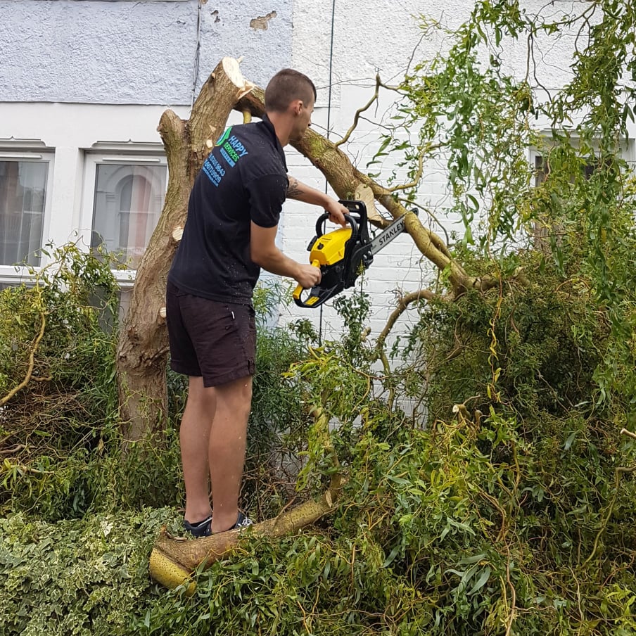Loughton IG10 Tree Surgery by Happy Services London