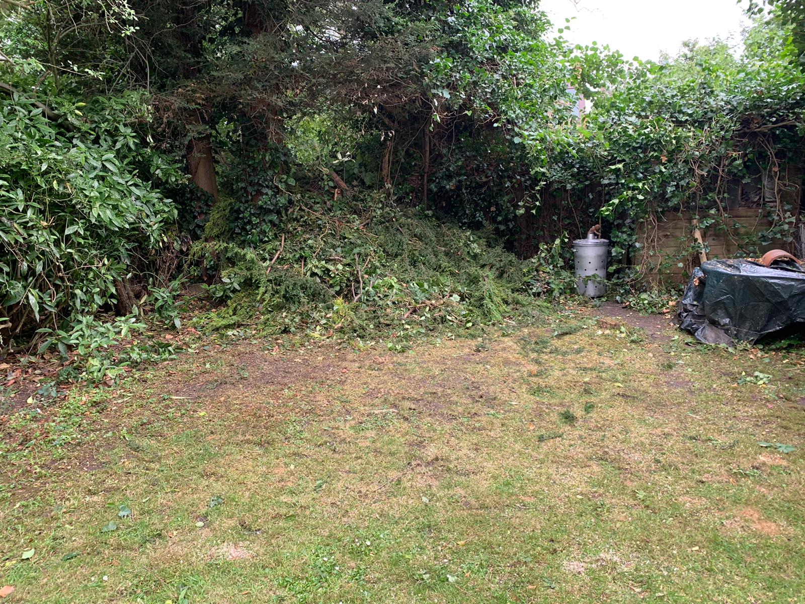 TREE SURGERY IN LONDON