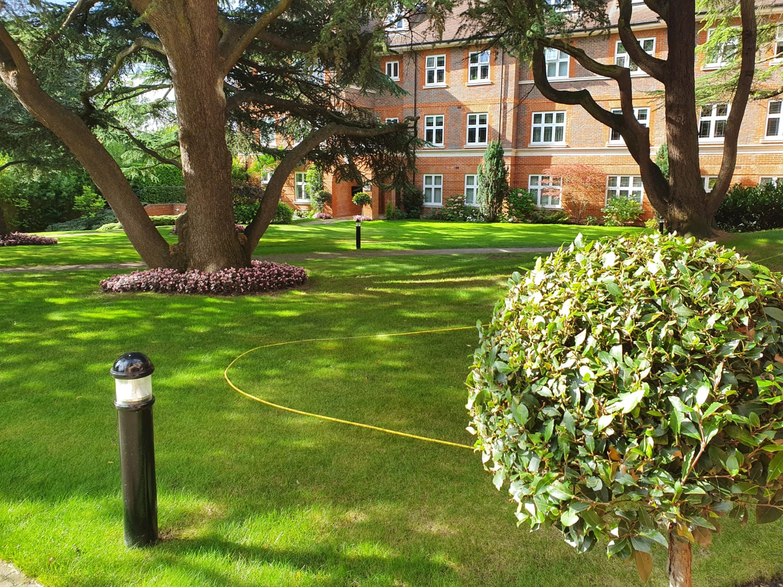 IG10 Garden Maintenance and Trimming by Happy Services London