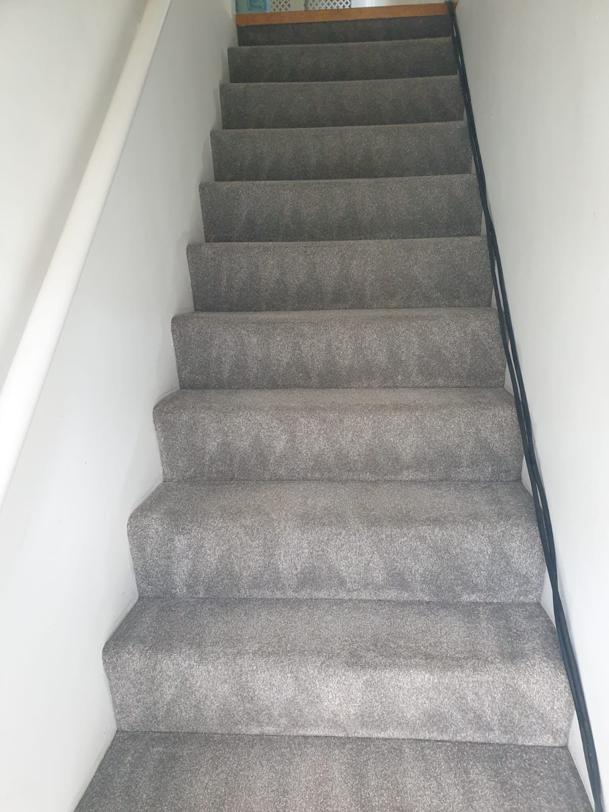 carpet cleaning Loughton