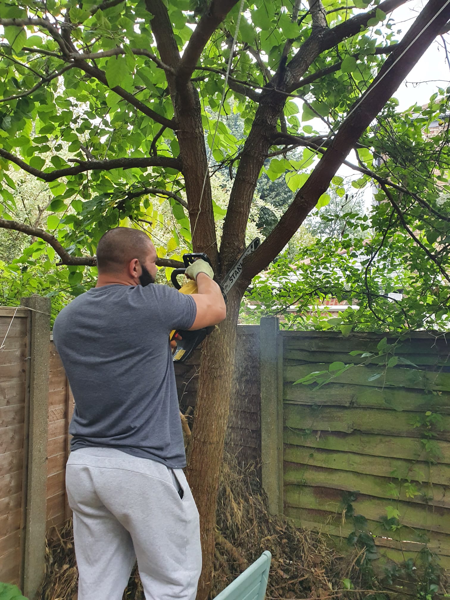 Local Tree Cutting by Happy Services London