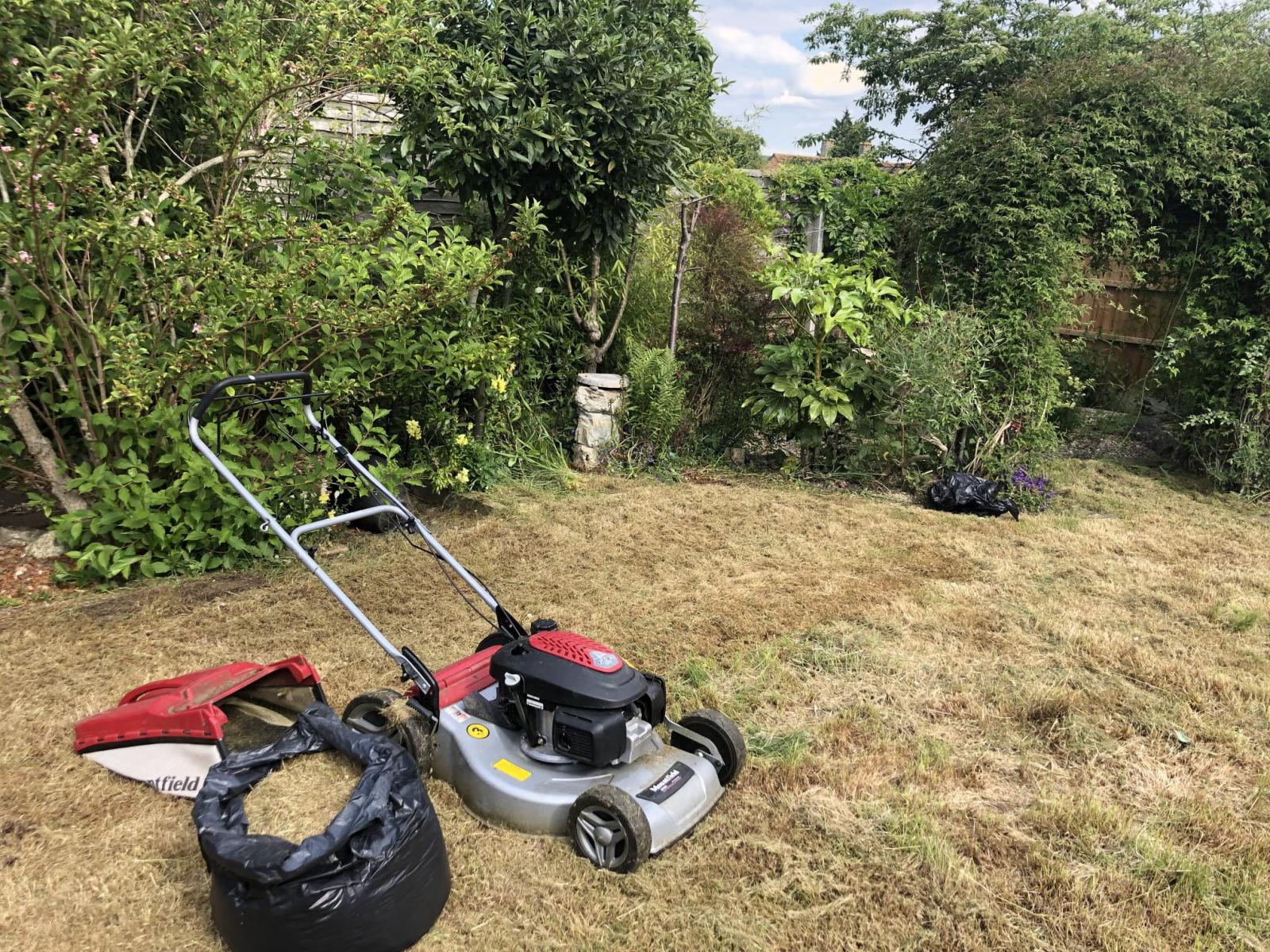 Local Garden Maintenance Tailored to You 